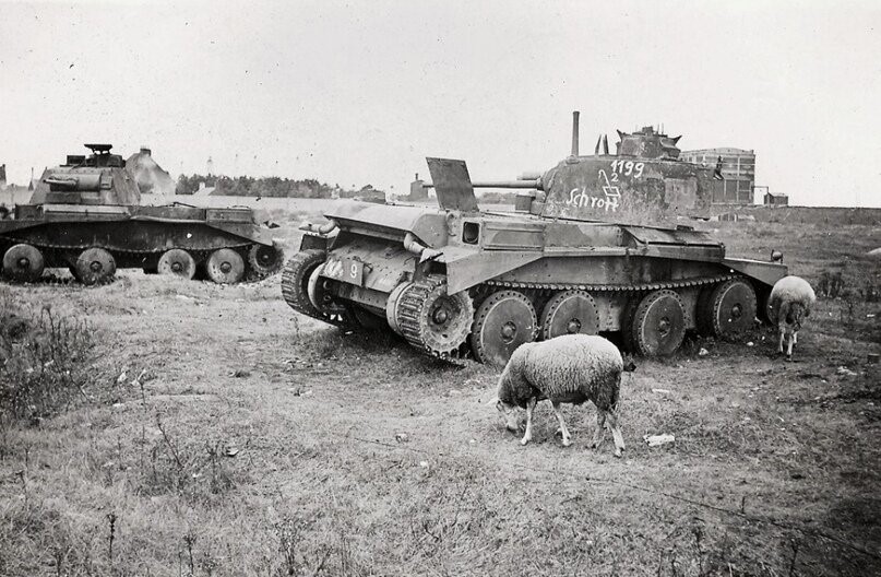 Английские танки, французские овцы